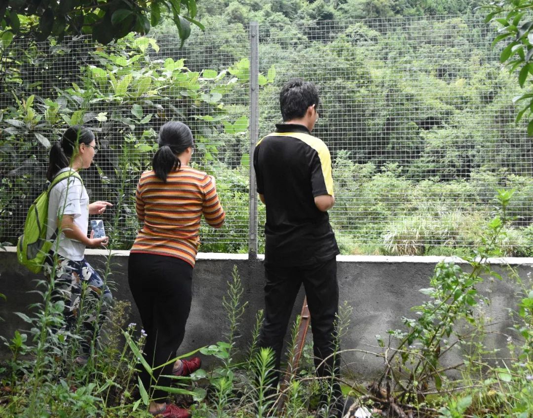 5b615475cca06.jpg 6.jpg